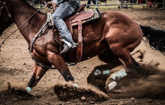 Gilroy Rodeo Roars Back, Kicking Up Boots, Bulls And Big Bucks