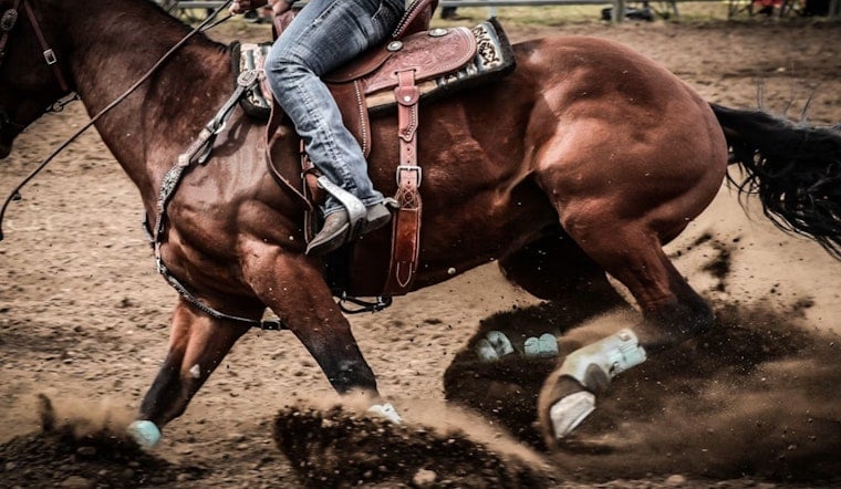 Gilroy Rodeo Roars Back, Kicking Up Boots, Bulls And Big Bucks