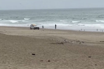 Glider Crash Drama at Fort Funston Beach Sends Flyer to Trauma Center
