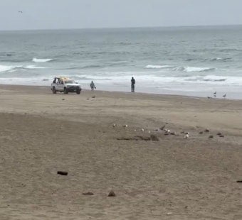 Glider Crash Drama at Fort Funston Beach Sends Flyer to Trauma Center