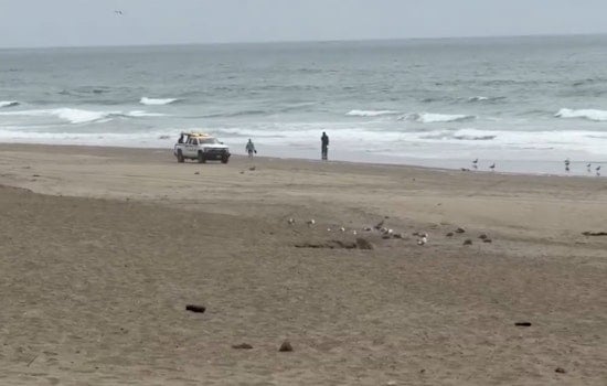 Glider Crash Drama at Fort Funston Beach Sends Flyer to Trauma Center