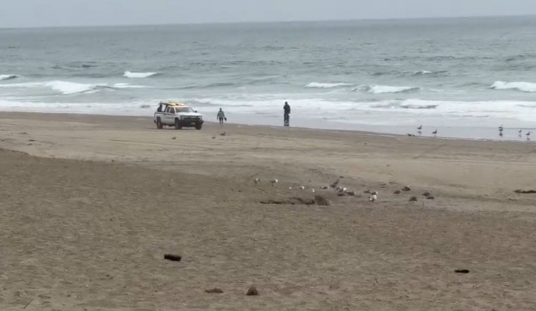 Glider Crash Drama at Fort Funston Beach Sends Flyer to Trauma Center