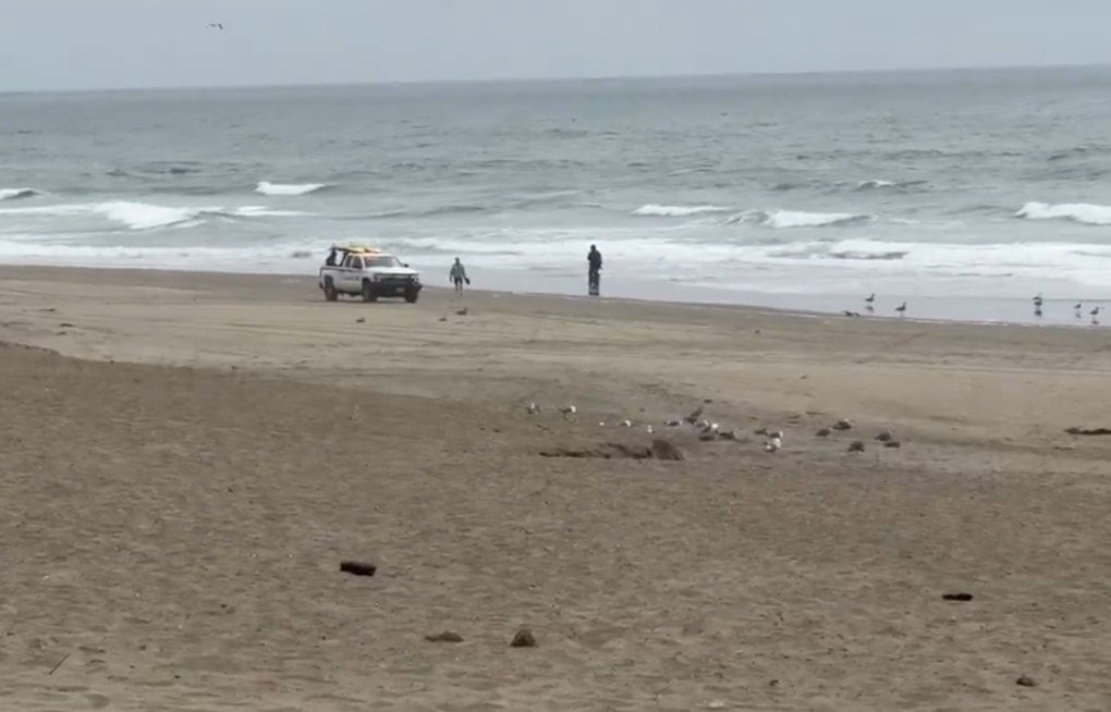 Glider Crash Drama at Fort Funston Beach Sends Flyer to Trauma Center