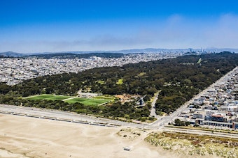Golden Gate Park Bandshell Goes Full Folk for 50th Free Festival