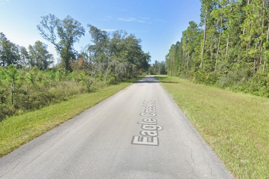 Green Cove Springs Driver’s Warning Shot Scatters Dog Pack, Saves Bleeding Jogger