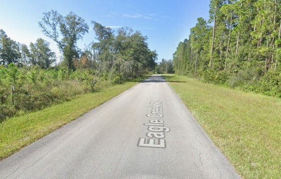Green Cove Springs Driver’s Warning Shot Scatters Dog Pack, Saves Bleeding Jogger