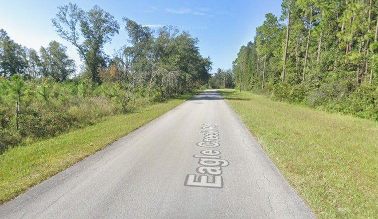 Green Cove Springs Driver’s Warning Shot Scatters Dog Pack, Saves Bleeding Jogger