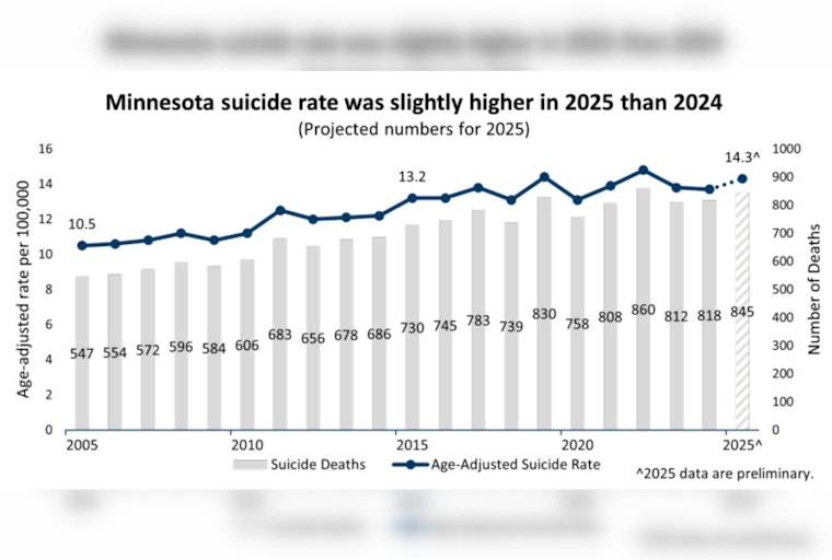 Gun Suicides Erase Minnesota Gains as Overall Toll Climbs