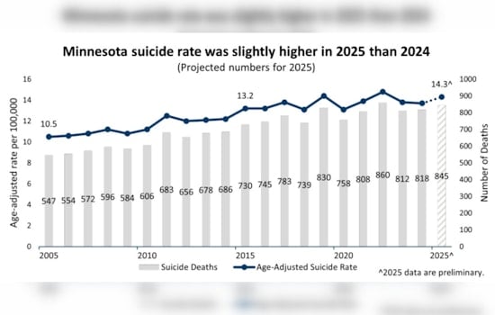 Gun Suicides Erase Minnesota Gains as Overall Toll Climbs