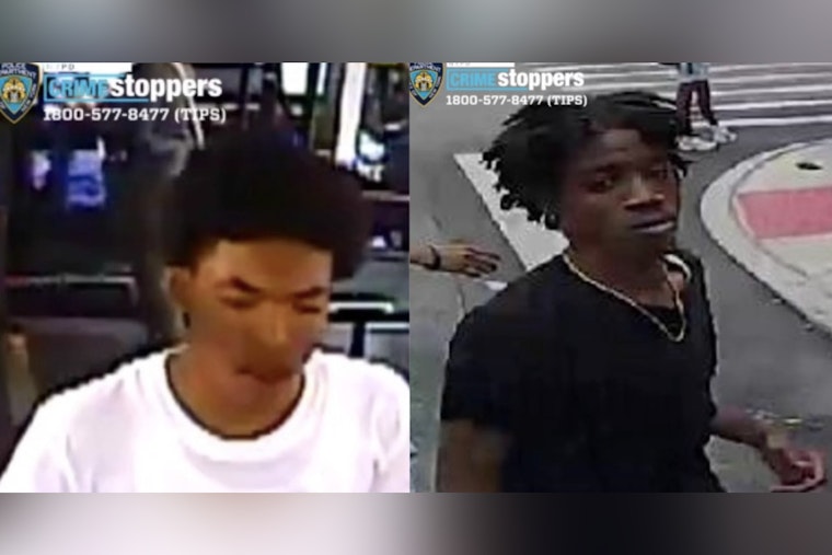 Gun-Toting Duo Swipes 60-Year-Old’s Car at Brooklyn Auto Shop