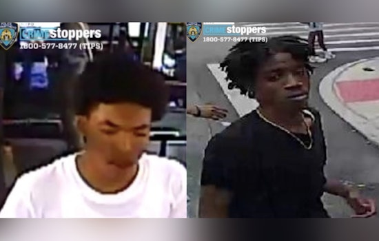Gun-Toting Duo Swipes 60-Year-Old’s Car at Brooklyn Auto Shop