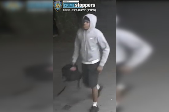 Gunman Rips Off Teens In Mullaly Park As NYPD Hunts Brazen Robbery Suspect