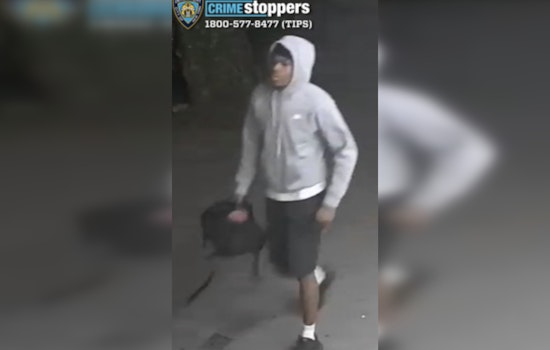 Gunman Rips Off Teens In Mullaly Park As NYPD Hunts Brazen Robbery Suspect
