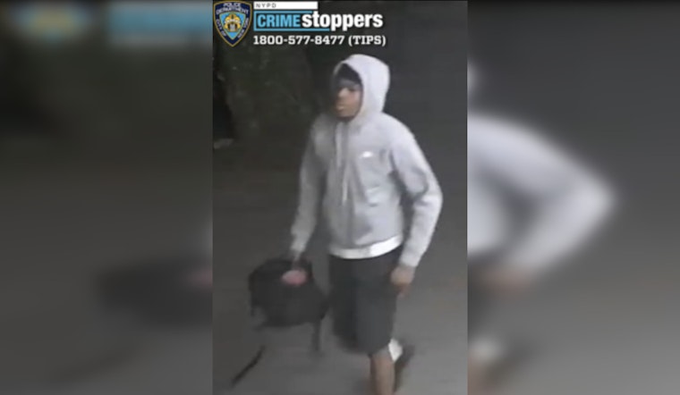 Gunman Rips Off Teens In Mullaly Park As NYPD Hunts Brazen Robbery Suspect