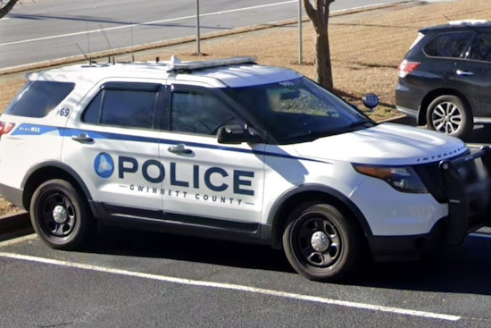 Gwinnett K9 Corners Alleged Credit Card Crook With 10 Warrants