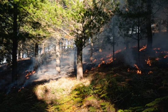 Hagen Fire Sparks Frantic Evacuations Around Spout Springs and Umatilla Backcountry