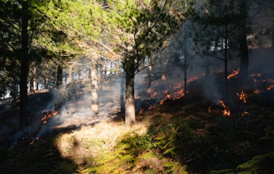 Hagen Fire Sparks Frantic Evacuations Around Spout Springs and Umatilla Backcountry