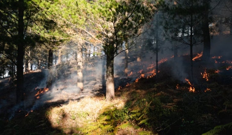 Hagen Fire Sparks Frantic Evacuations Around Spout Springs and Umatilla Backcountry