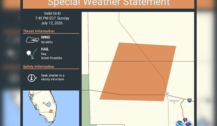 Hail And 50 MPH Gusts Put Broward On Edge Sunday Night