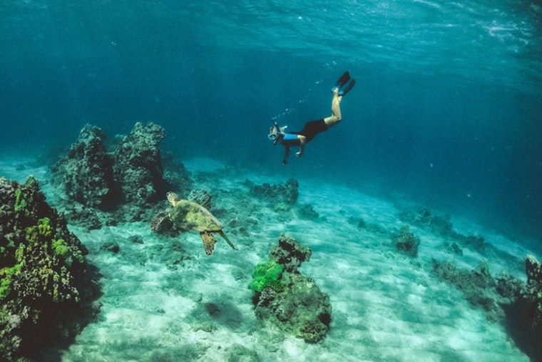 Hawaiʻi’s Reef Playground Faces $3 Billion Climate Wipeout