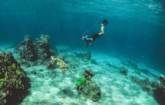 Hawaiʻi’s Reef Playground Faces $3 Billion Climate Wipeout
