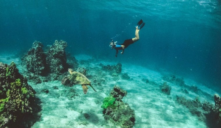 Hawaiʻi’s Reef Playground Faces $3 Billion Climate Wipeout