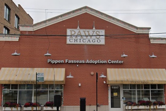 Hawthorn Woods Horse Farm Gets Second Life As PAWS Chicago Rescue Ranch