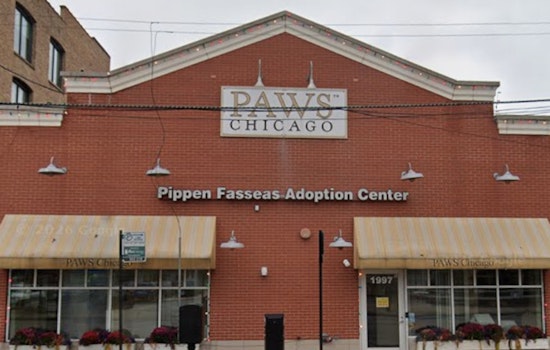 Hawthorn Woods Horse Farm Gets Second Life As PAWS Chicago Rescue Ranch