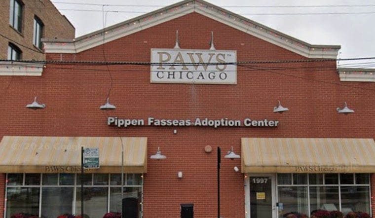 Hawthorn Woods Horse Farm Gets Second Life As PAWS Chicago Rescue Ranch