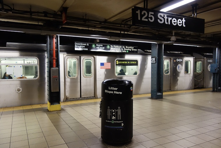 Heartbroken Harlem Mom Hunts for Sick Shih Tzu After Subway Snatch Arrest