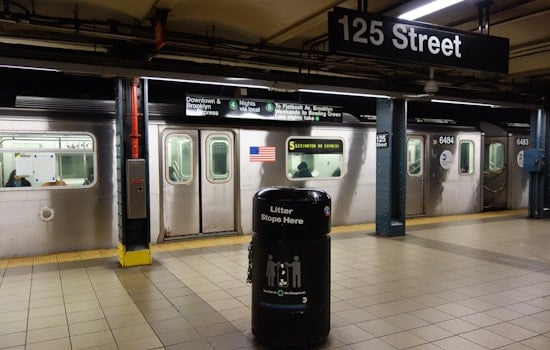 Heartbroken Harlem Mom Hunts for Sick Shih Tzu After Subway Snatch Arrest