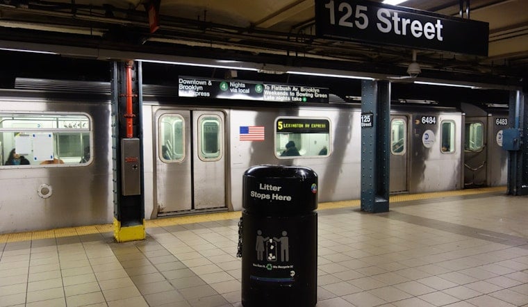 Heartbroken Harlem Mom Hunts for Sick Shih Tzu After Subway Snatch Arrest