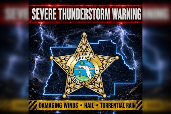 Hernando Hammered as Fierce Storm Drops Trees and Zaps Car With Lightning