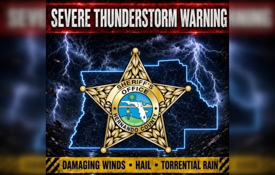 Hernando Hammered as Fierce Storm Drops Trees and Zaps Car With Lightning