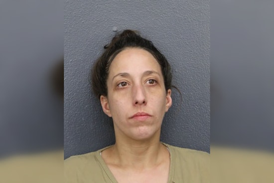 Hollywood Woman Flees Cops With Child, Crashes Head-On Into Cruiser