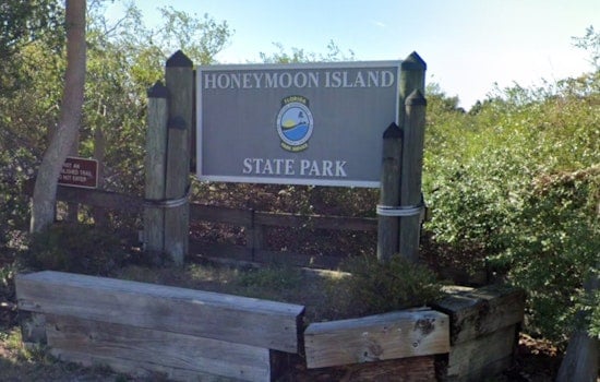 Honeymoon Island Stunner as Small Plane Splash-Lands Yards From Shore