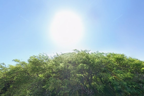 Honolulu Holiday Week Gets Blown Around By Cranking Trade Winds