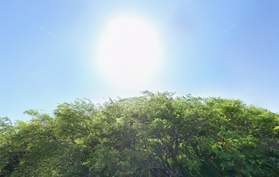 Honolulu Holiday Week Gets Blown Around By Cranking Trade Winds