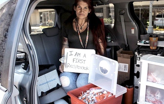 Honolulu Needle Swap Shrinks As Users Trade Shots For Smoke