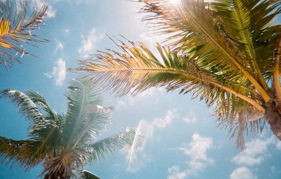 Honolulu Trades Whip Up Blustery Weekend, Showers Riding Shotgun