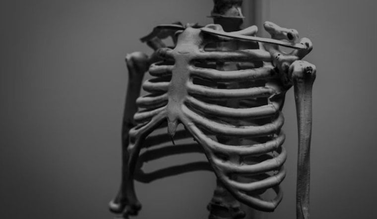 Hoosier Bone Rush, Feds Dangle $160 Million For Indiana Research Engine