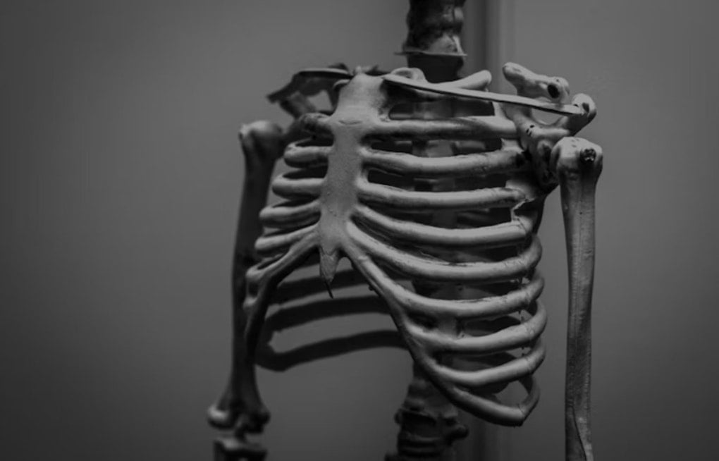 Hoosier Bone Rush, Feds Dangle $160 Million For Indiana Research Engine