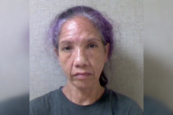 Hudson Garage Horror: Mom Dog And Puppies Found Living Next To Gas Can, Police Say