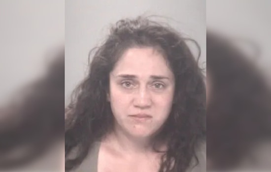 Hudson Mom Busted After Late-Night DUI Crash With Kids In Back Seat