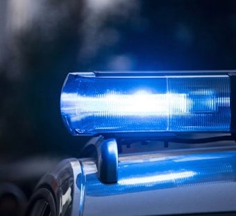 Hunt For Light Car After Daylight Killing Rocks Columbus’ Southern Orchards