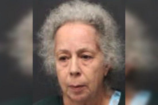I-110 Chaos As New Orleans Woman, 63, Nabbed In Baton Rouge Highway Shooting