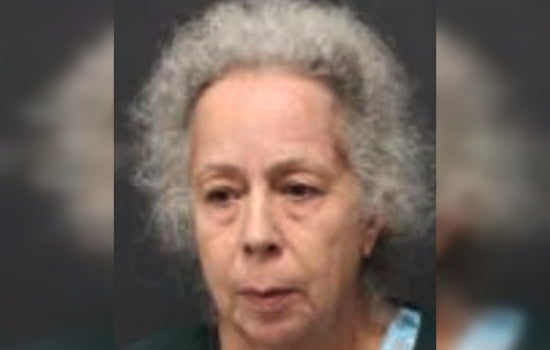 I-110 Chaos As New Orleans Woman, 63, Nabbed In Baton Rouge Highway Shooting