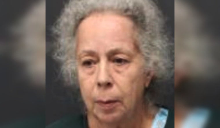 I-110 Chaos As New Orleans Woman, 63, Nabbed In Baton Rouge Highway Shooting