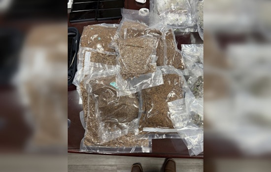 I‑75 Traffic Stop In Butts County Unmasks Drone Stuffed With PlayStation And Party Drugs