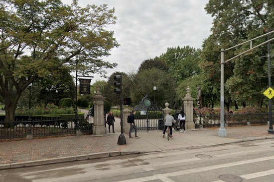 Iconic Boston Willow Crashes Into Lagoon as Public Garden Loses Grand Old Trees